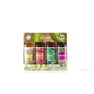   Bálint cseppek TÖBB MINT SZÖRP VÁLOGATÁS – BODZÁS 4×100 ML