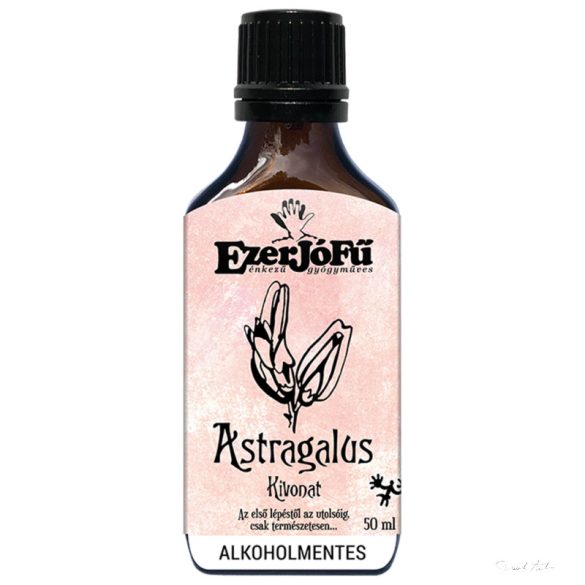 Ezerjófű - EXOTIKUS ALKOHOLMENTES - ASTRAGALUS KIVONAT 50 ML