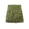 Gyógyfű tea  - KERTI KAKUKKFŰ 50 G