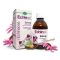 Echinaid® Immunerősítő Echinacea szirup. - gesztenyemézzel, és balzsamos gyógynövényekkel. 200 ml