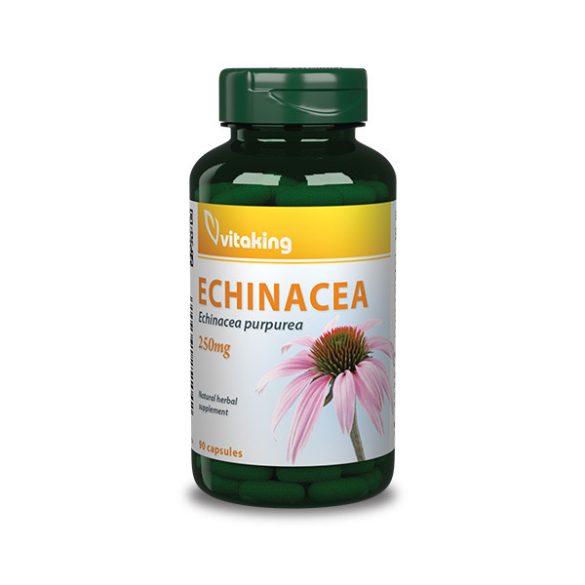Vitaking Echinacea kivonat 90x