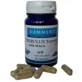 DAMMERS TRIBULIS Királydinnye + Maca kapszula 40X    
