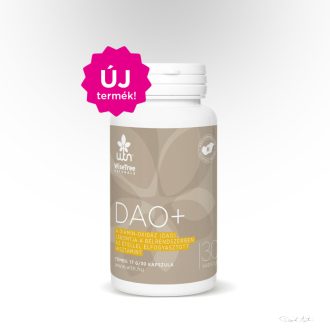 WTN DAO+ 30x