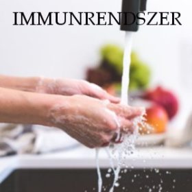  Immunrendszer