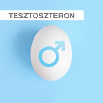 Tesztoszteronszint növelés