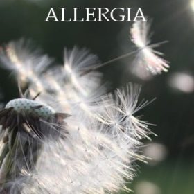  Allergia