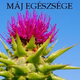  Máj egészsége, Méregtelenítés, Lúgosítás