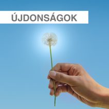 Újdonságok