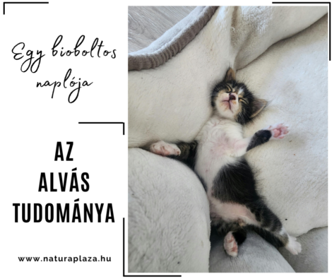 A jó alvás titkai: melatonin, alvási pozíciók és esti rutin tippek